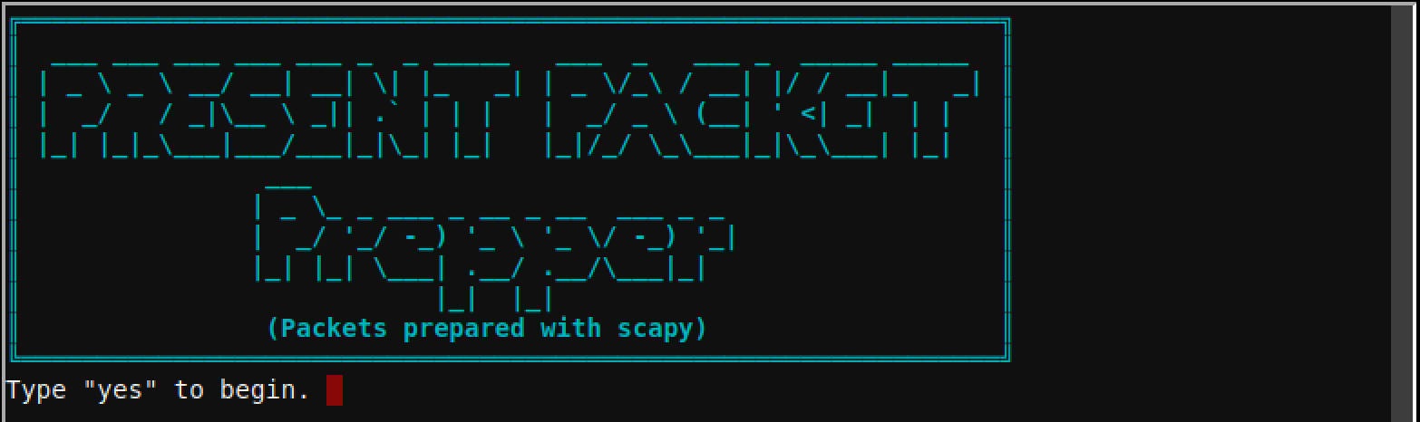 Scapy Challenge